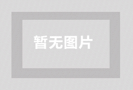 宠物猫疯抢到上房！TikTok神玩具登顶榜首，人类：这玩意儿到底藏了什么妖？